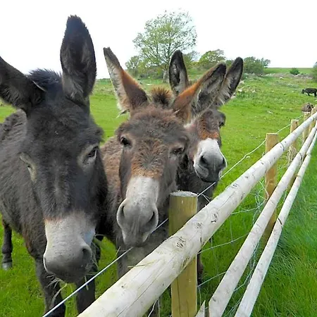 Parkgate Farm * Whitehaven