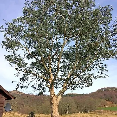 Ξενοδοχείο Parkgate Farm Whitehaven
